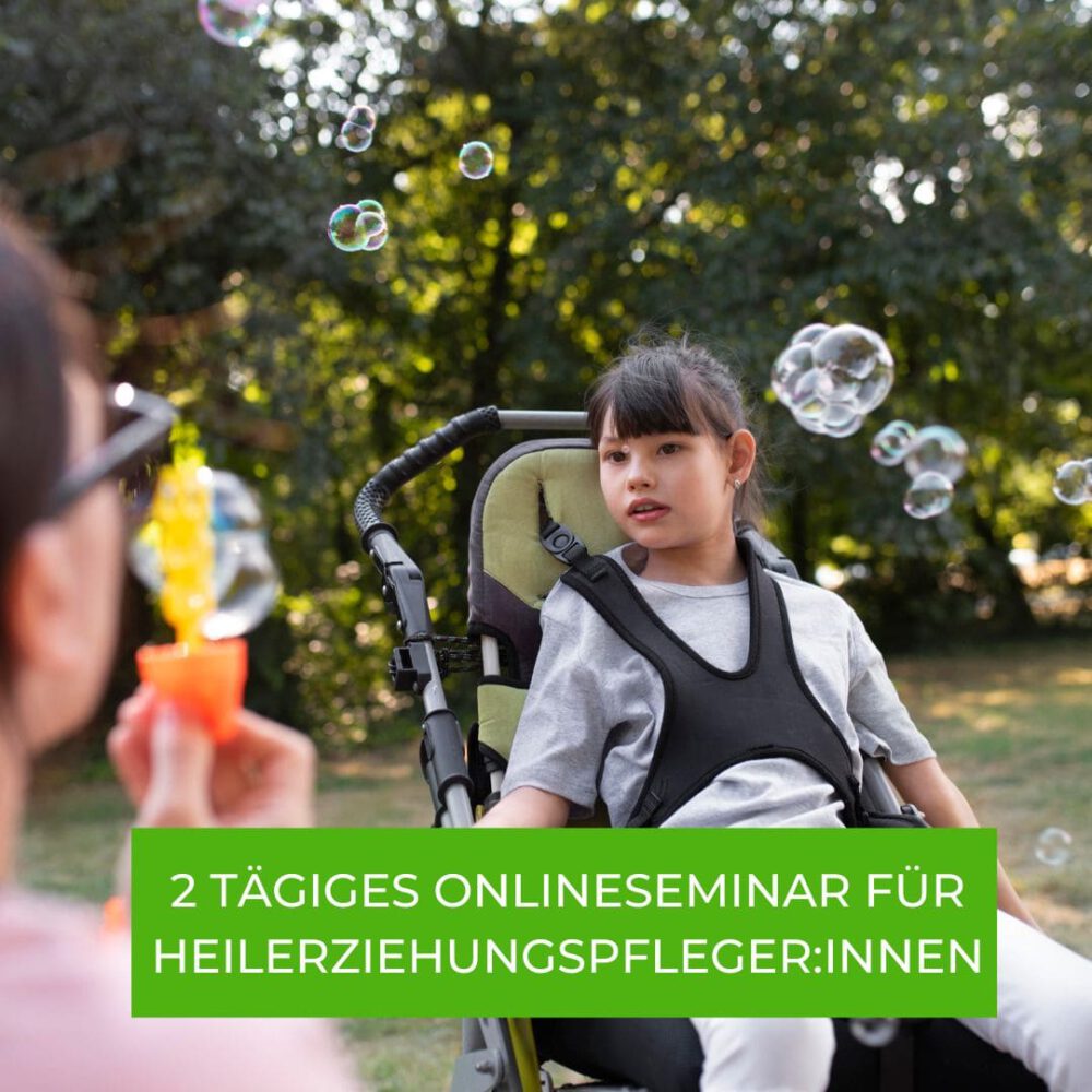 Onlineseminar für Heilpädagogen Weiterbildung Birte Gamm Supervision