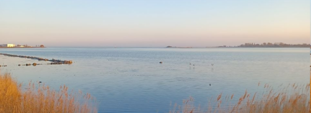 Schilf am Ufer eines ruhigen Gewässers mit weitem Horizont im sanften Abendlicht. Das Bild vermittelt Weite, Berührbarkeit und stille Offenheit.